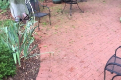 Brick-Pressure-Washing-Raleigh-Before