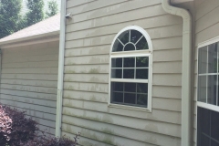 HomePressureWashingBefore1