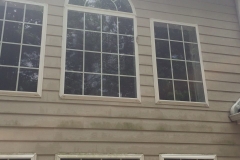 HomePressureWashingBefore3