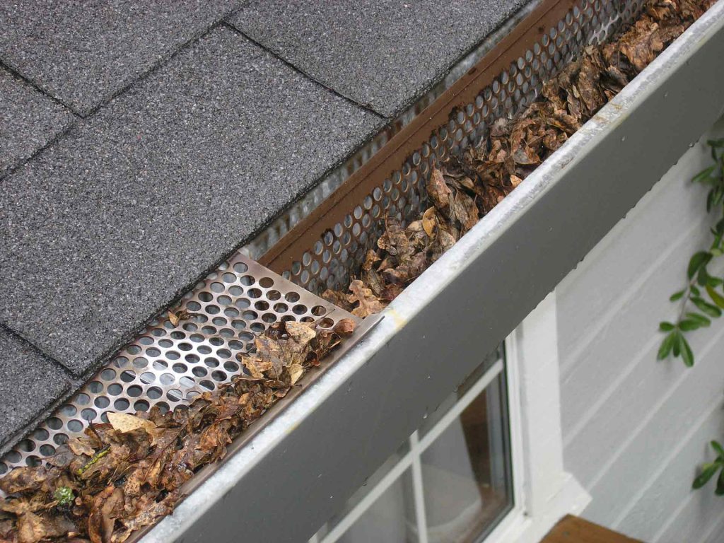 cleaning raleigh gutters